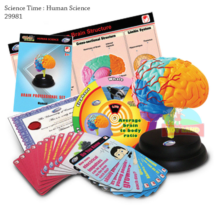 Science Time : Human Science-29981